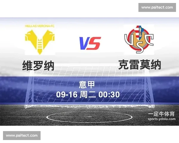 体育比分官网入口最新动态及时更新精彩赛事数据抢先知